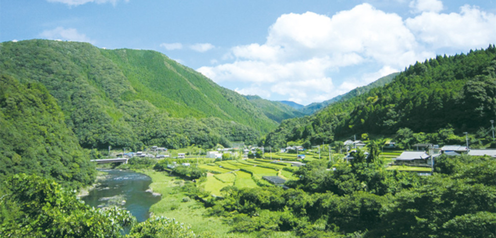 温暖で風光明媚な和歌山県日高郡日高川町。
