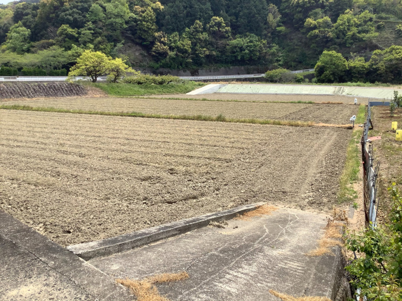 風光明媚な和歌山でセカンドライフを！『日高川アグリ』